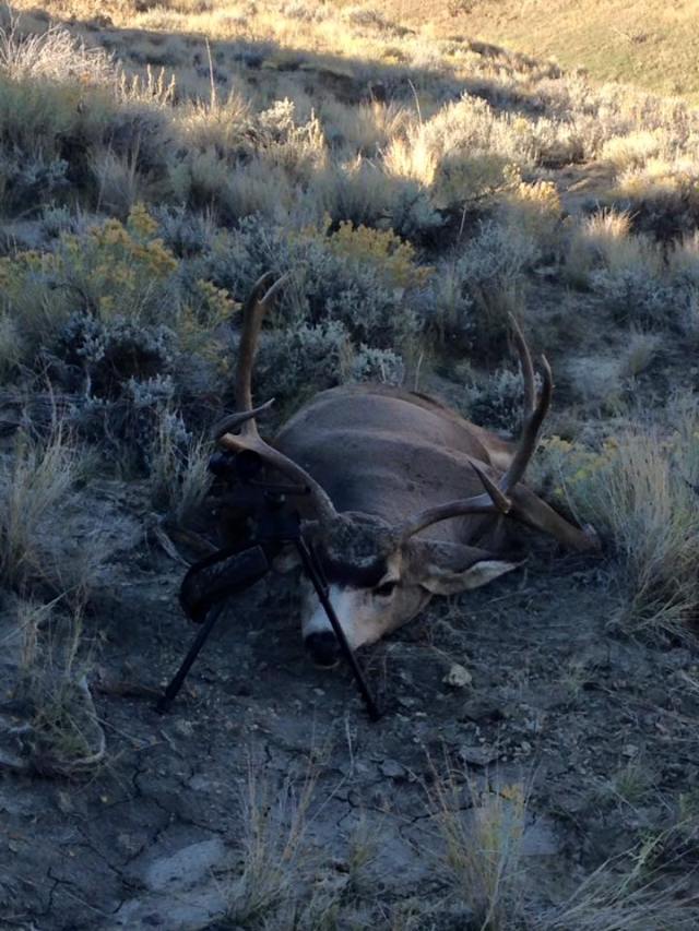 14517671_10211094671747792_4017410959578578739_n