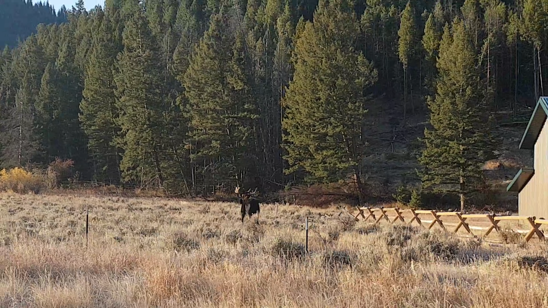 Screenshot_20171006-133523